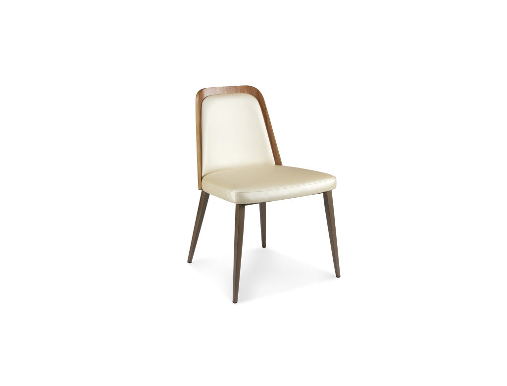 Elite Modern Coco Dining Chair with Wood Back