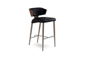 Elite Modern Costa Counter Stool with Wood Back