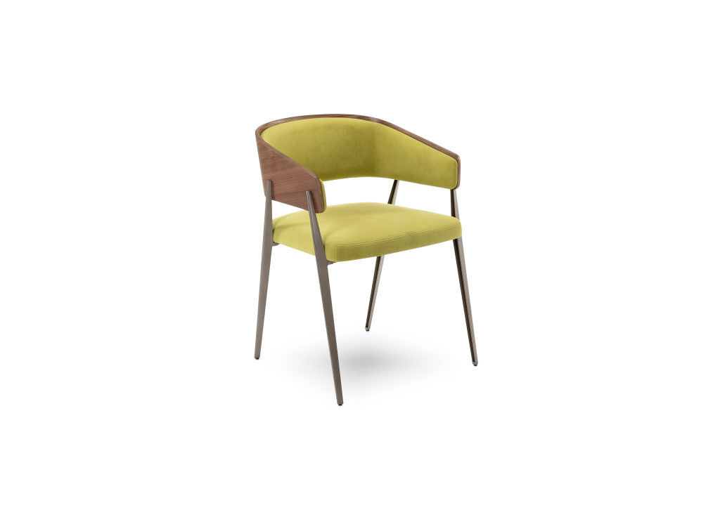 Elite Modern Aria Dining Chair with Wood Back