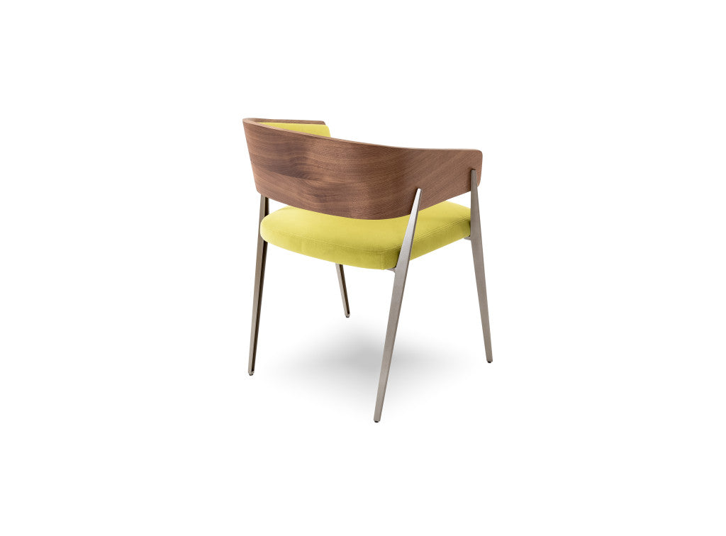 Elite Modern Aria Dining Chair with Wood Back