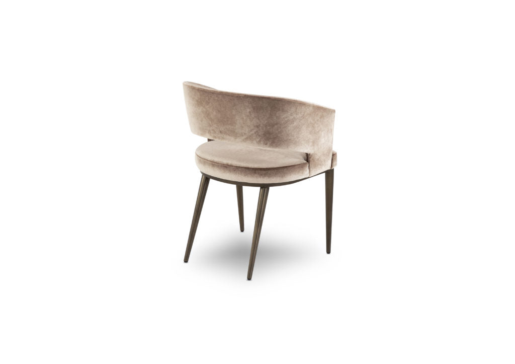 Elite Modern Circa Dining Chair
