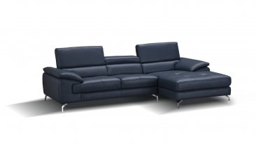 A973b Premium Leather Sectional