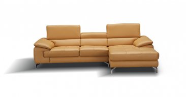 A973b Premium Leather Sectional