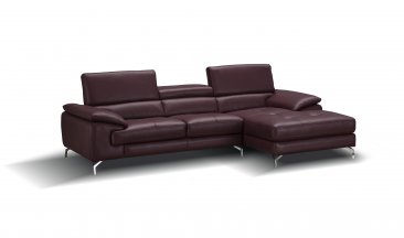 A973b Premium Leather Sectional