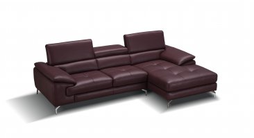 A973b Premium Leather Sectional
