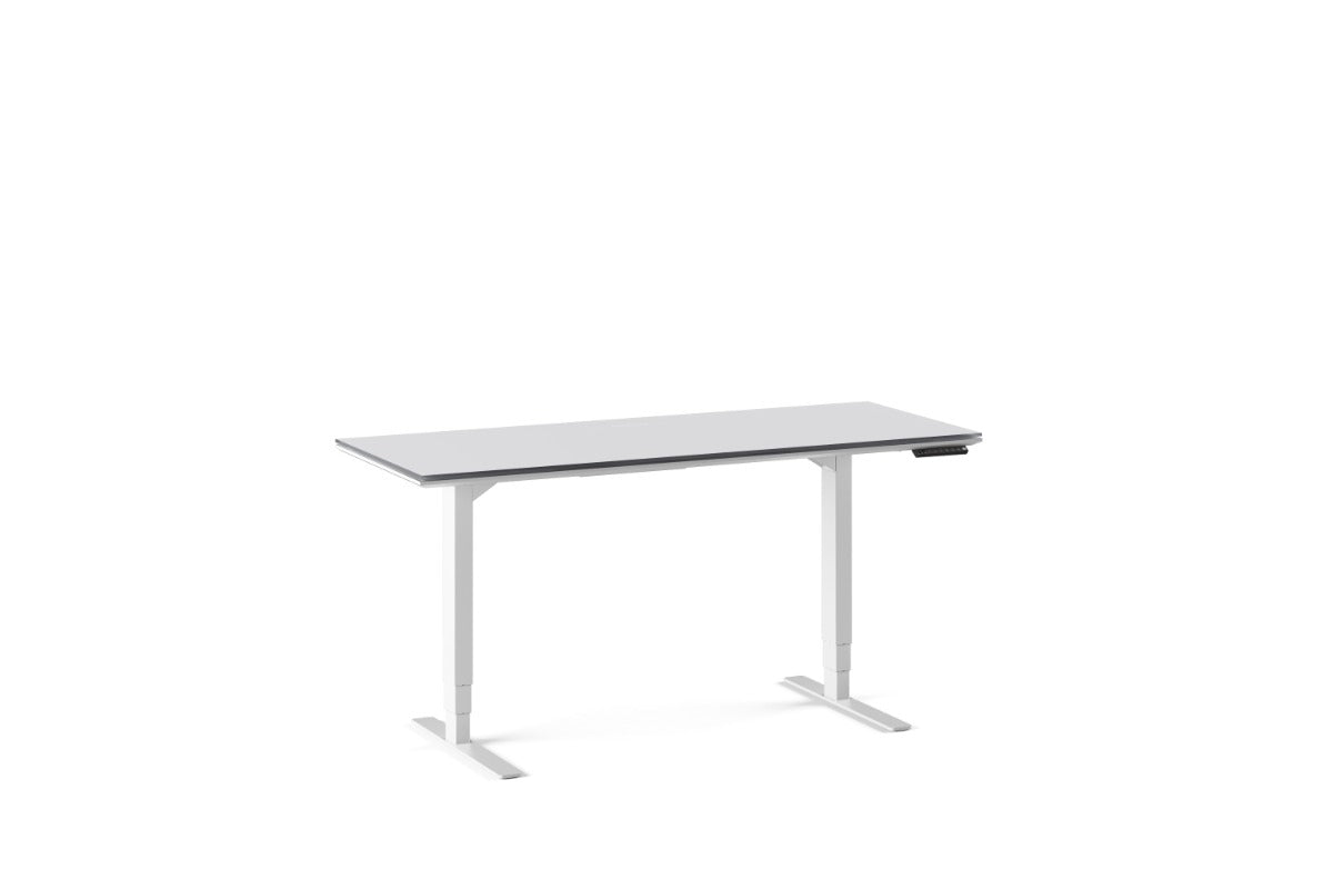 BDI Centro™ 6451-2 Standing Desk | 60 x 24 inch