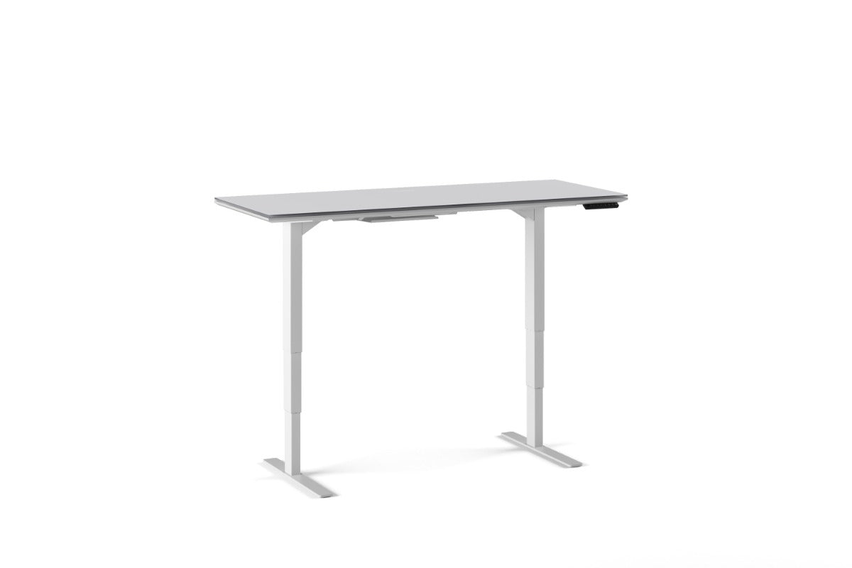 BDI Centro™ 6451-2 Standing Desk | 60 x 24 inch