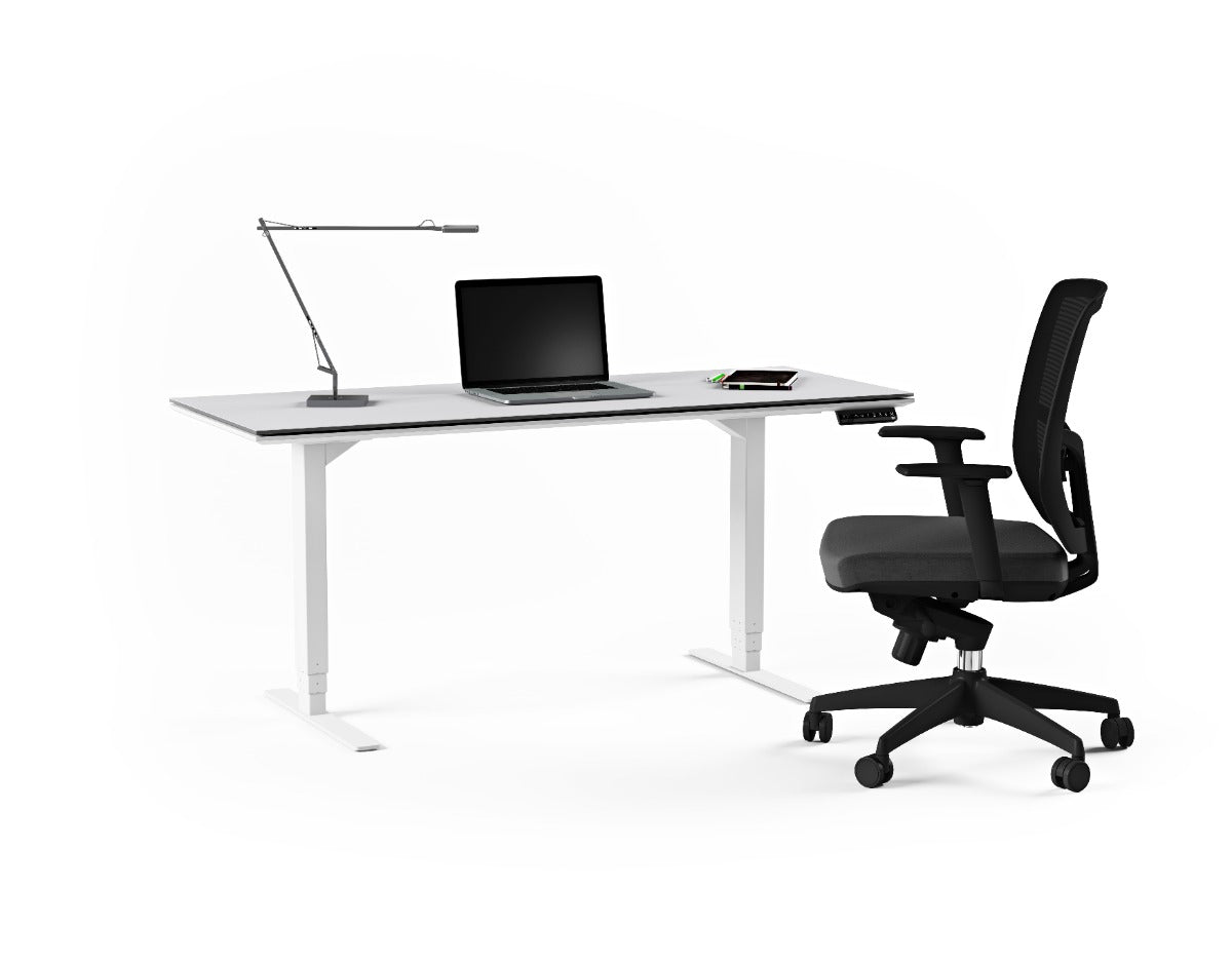 BDI Centro™ 6451-2 Standing Desk | 60 x 24 inch