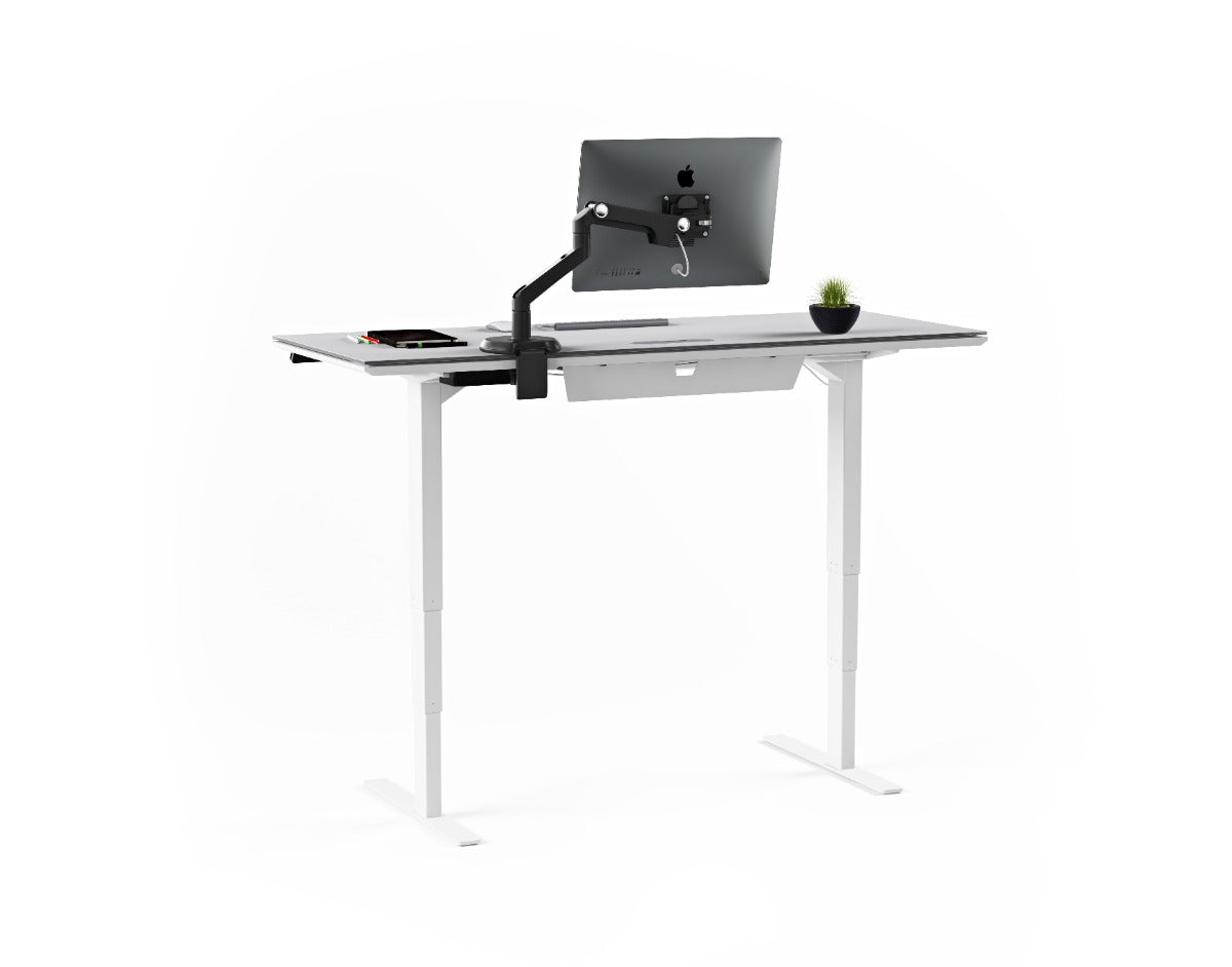 BDI Centro™ 6451-2 Standing Desk | 60 x 24 inch