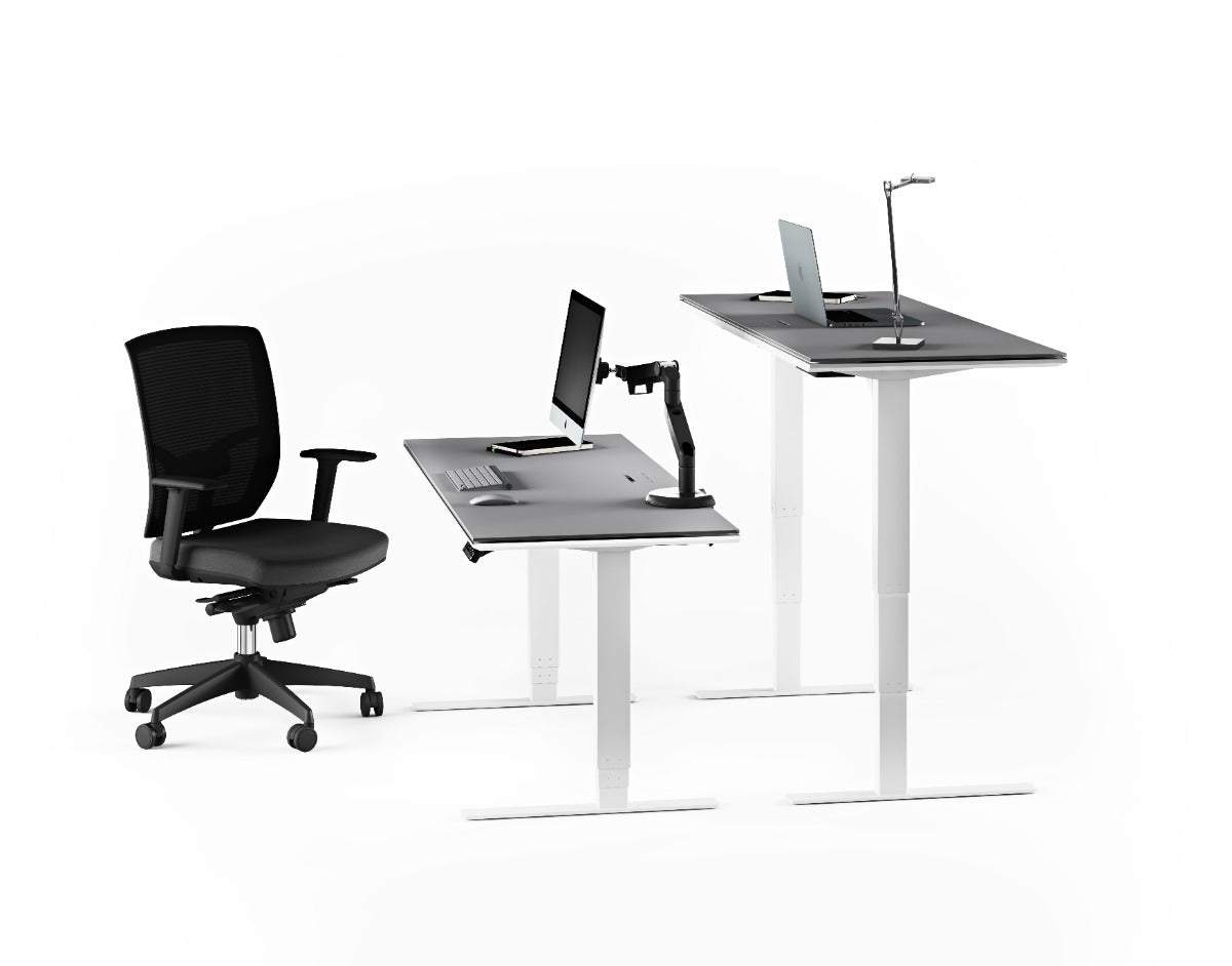 BDI Centro™ 6451-2 Standing Desk | 60 x 24 inch