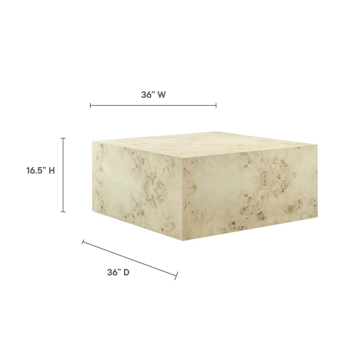 Modway Cosmos 36" Square Burl Wood Coffee Table