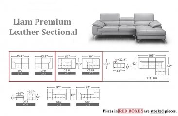 Liam Premium Leather Sectional