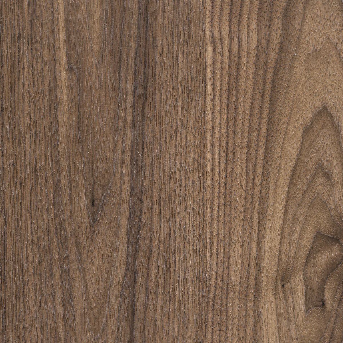 BDI Dino 1363 Coffee Table