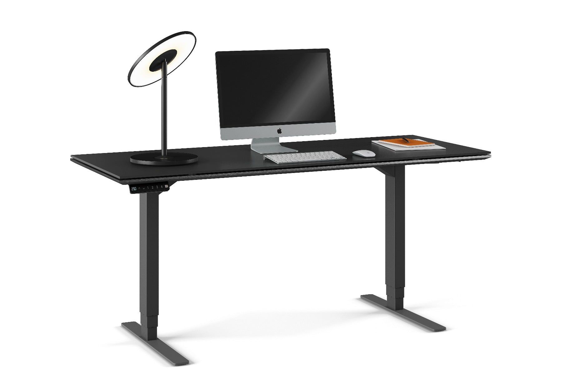 BDI Sequel 20  6151 Standing Desk
