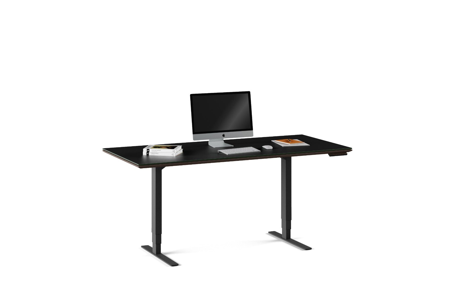 BDI Sequel 20  6152 Standing Desk