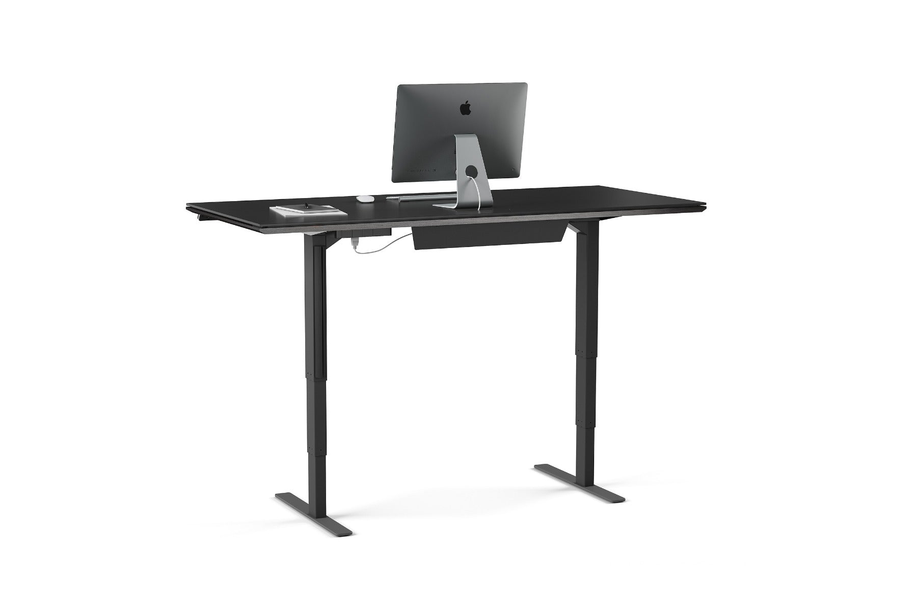 BDI Sequel 20  6152 Standing Desk