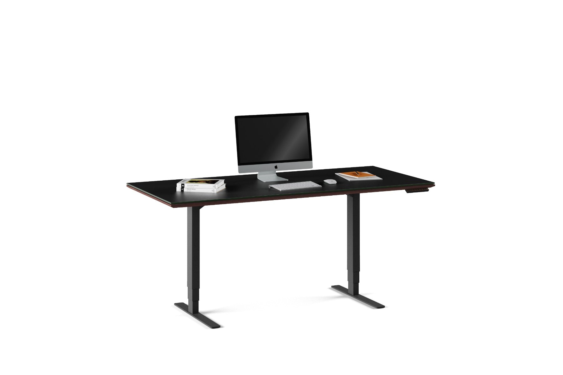 BDI Sequel 20  6152 Standing Desk
