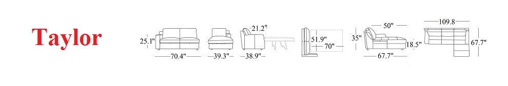 Taylor Premium Sectional Sleeper in Brown